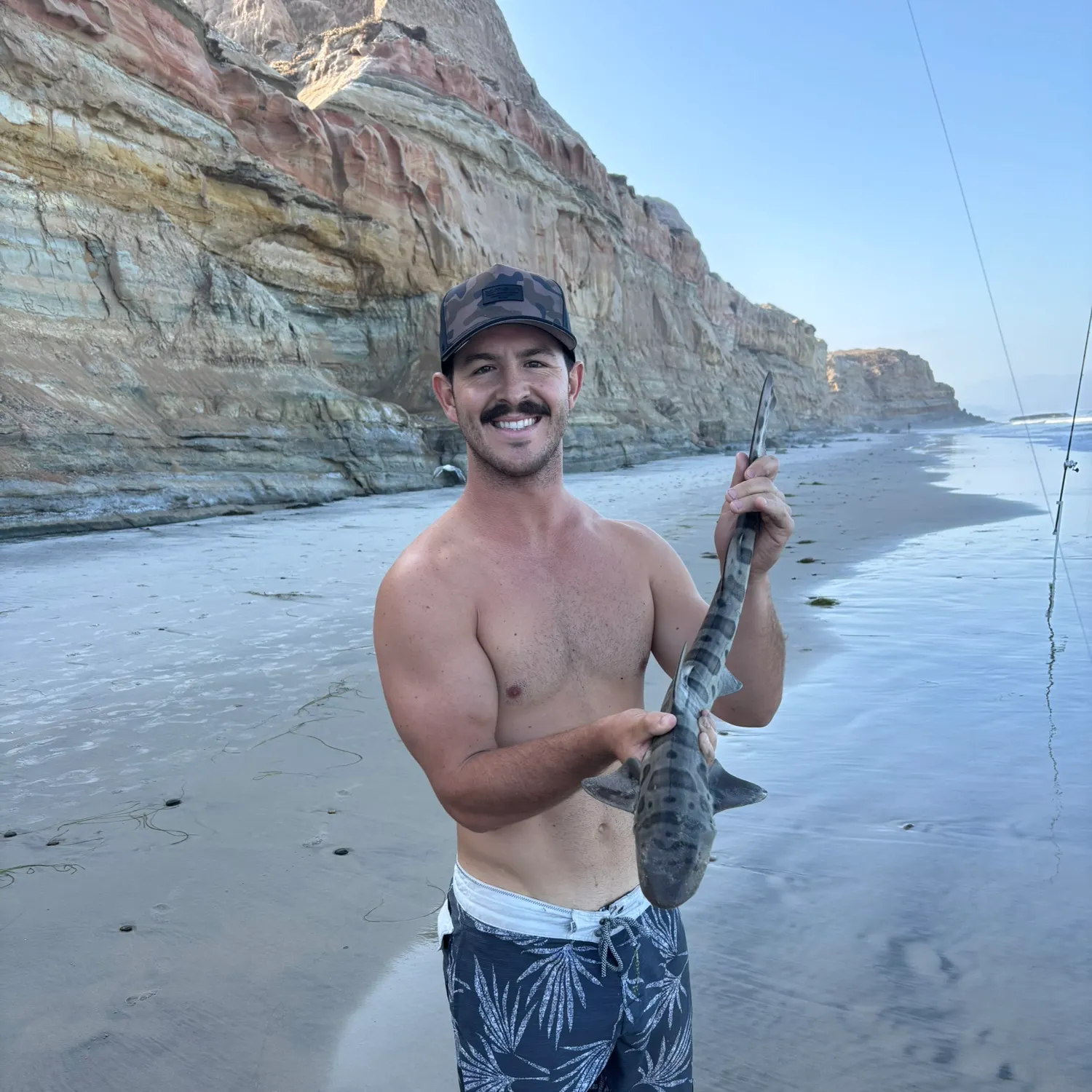 Leopard shark caught on Fishbrain