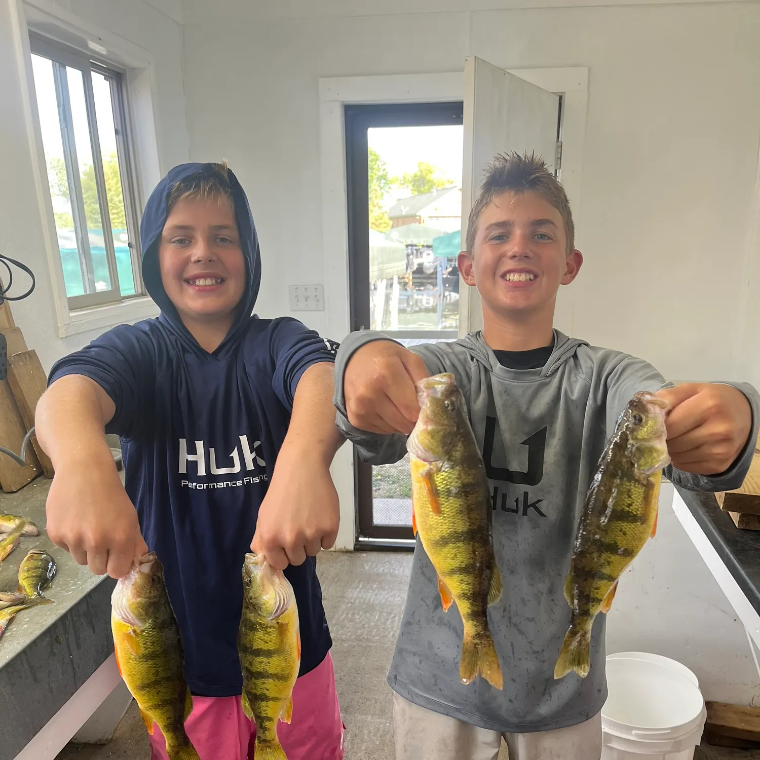 Yellow perch caught on Fishbrain