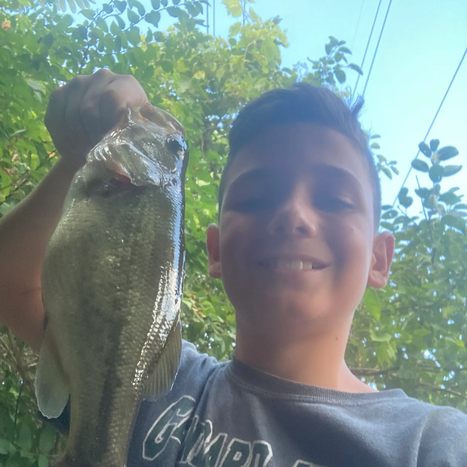 angler catch