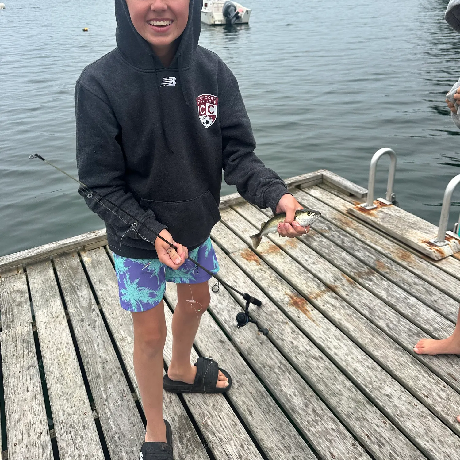 The most recent Atlantic pollock catches on Fishbrain