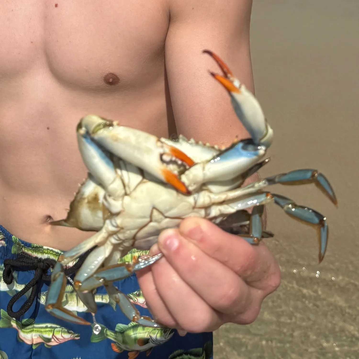 The most recent Blue crab catches on Fishbrain