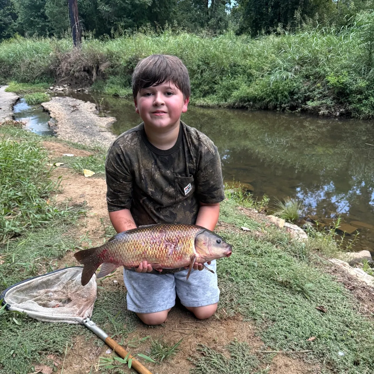 Common carp caught on Fishbrain