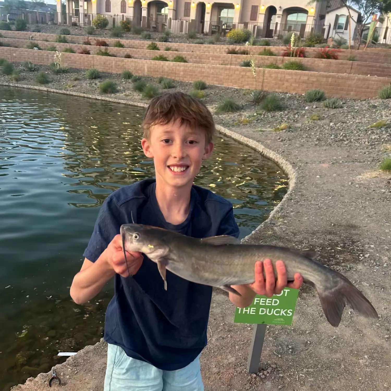 angler catch