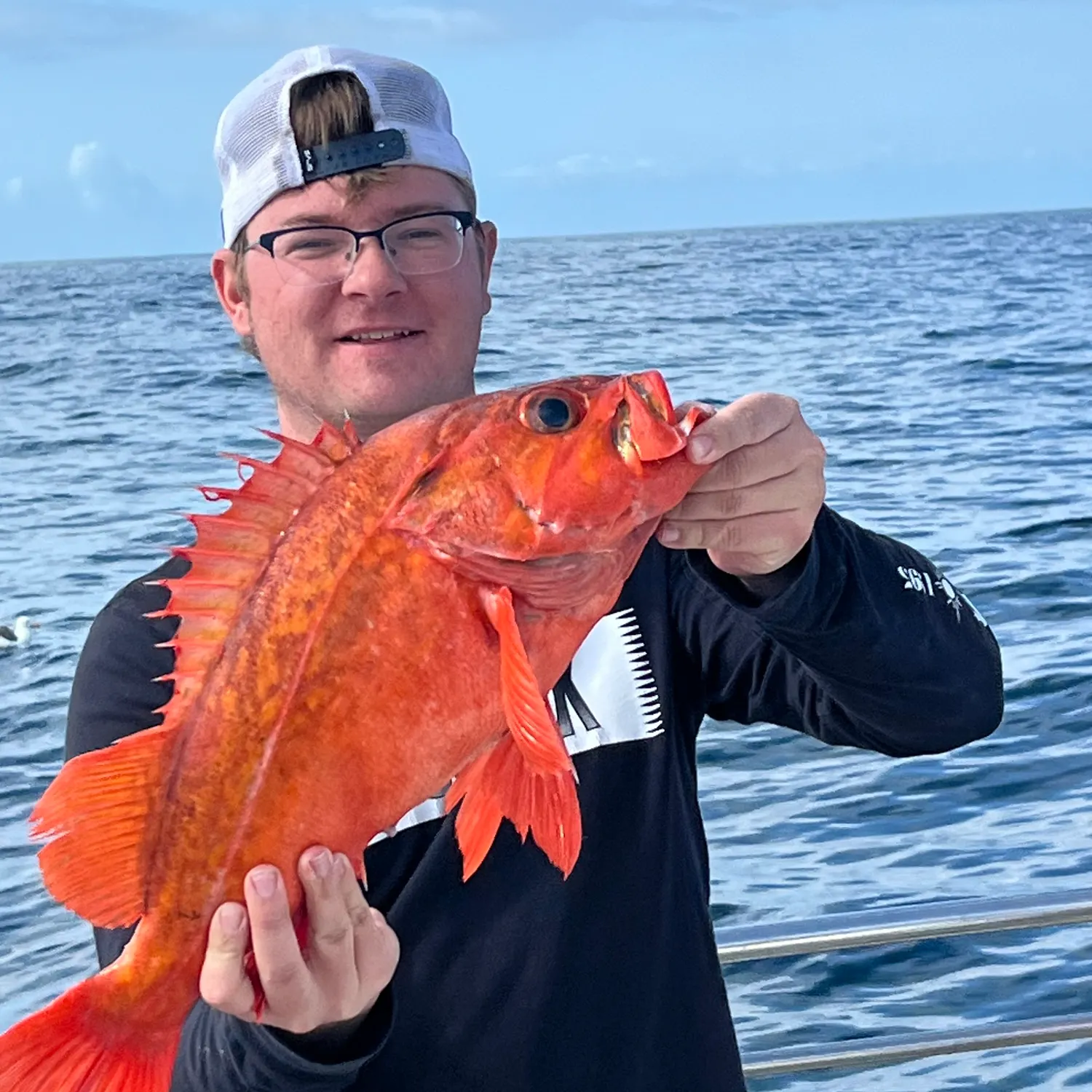 The most recent Vermilion rockfish catches on Fishbrain