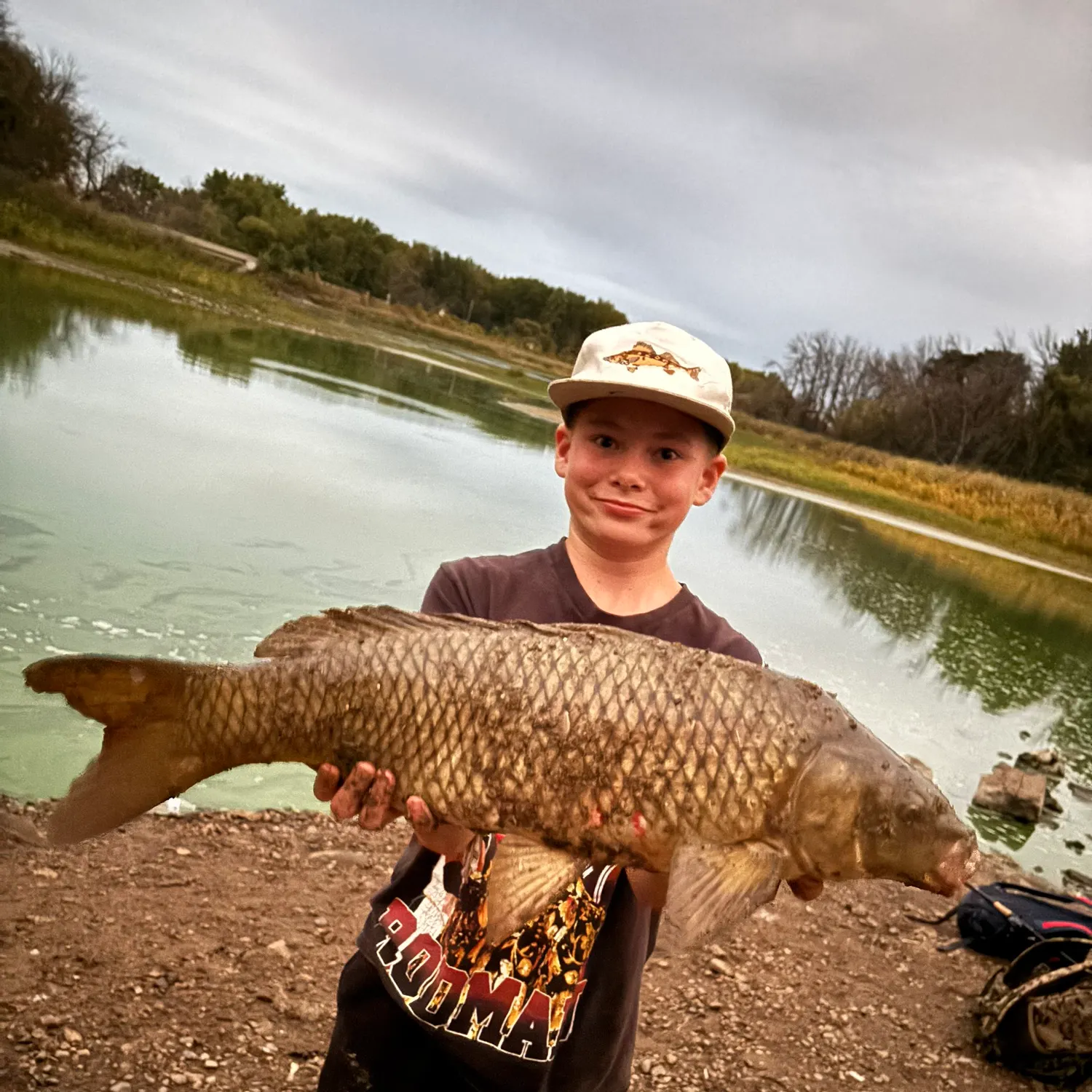 Common carp caught on Fishbrain