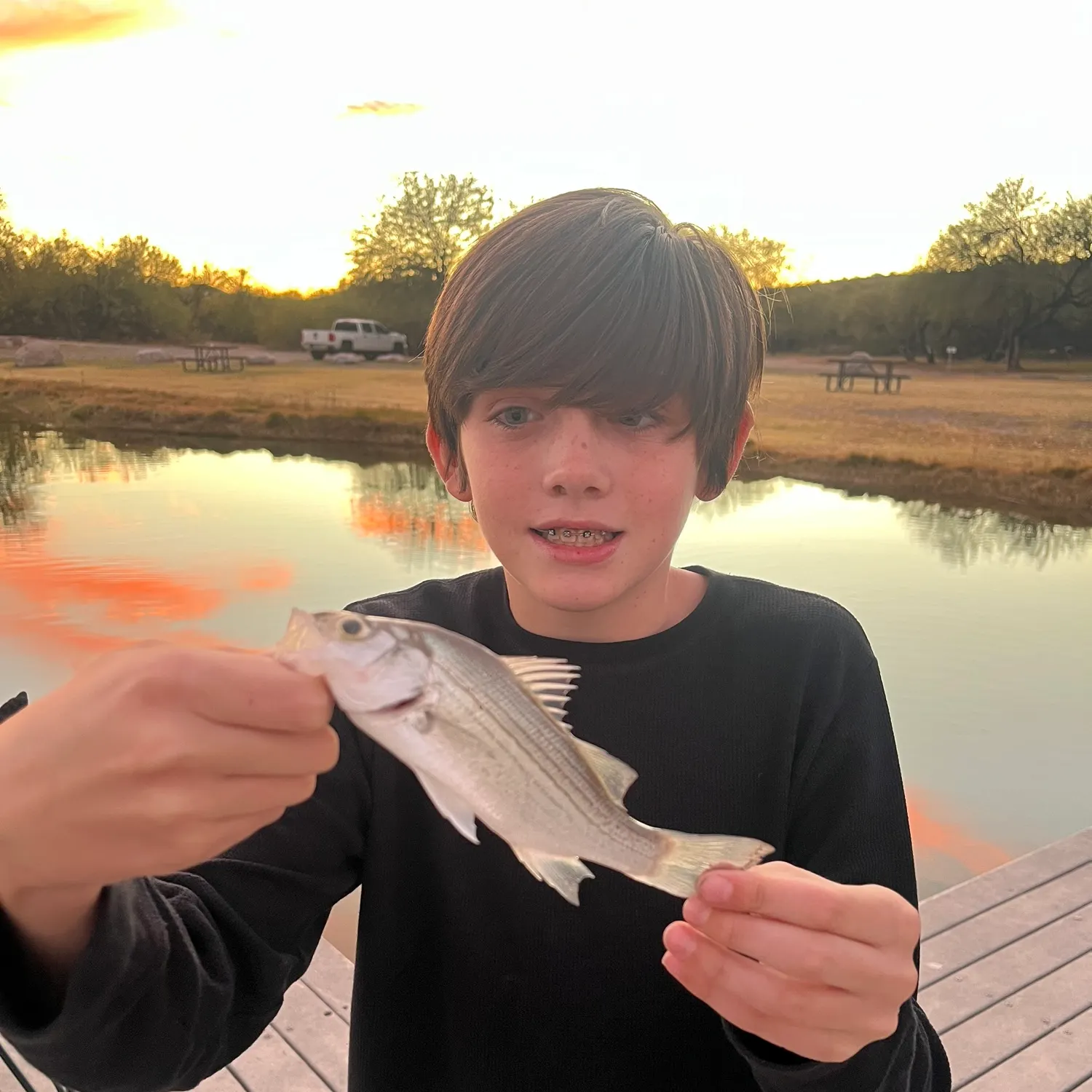 White bass caught on Fishbrain