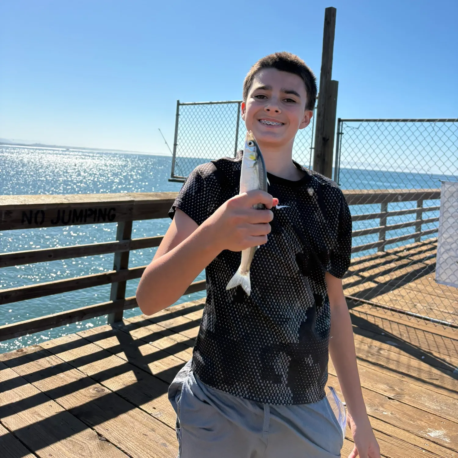 Jack silverside caught on Fishbrain