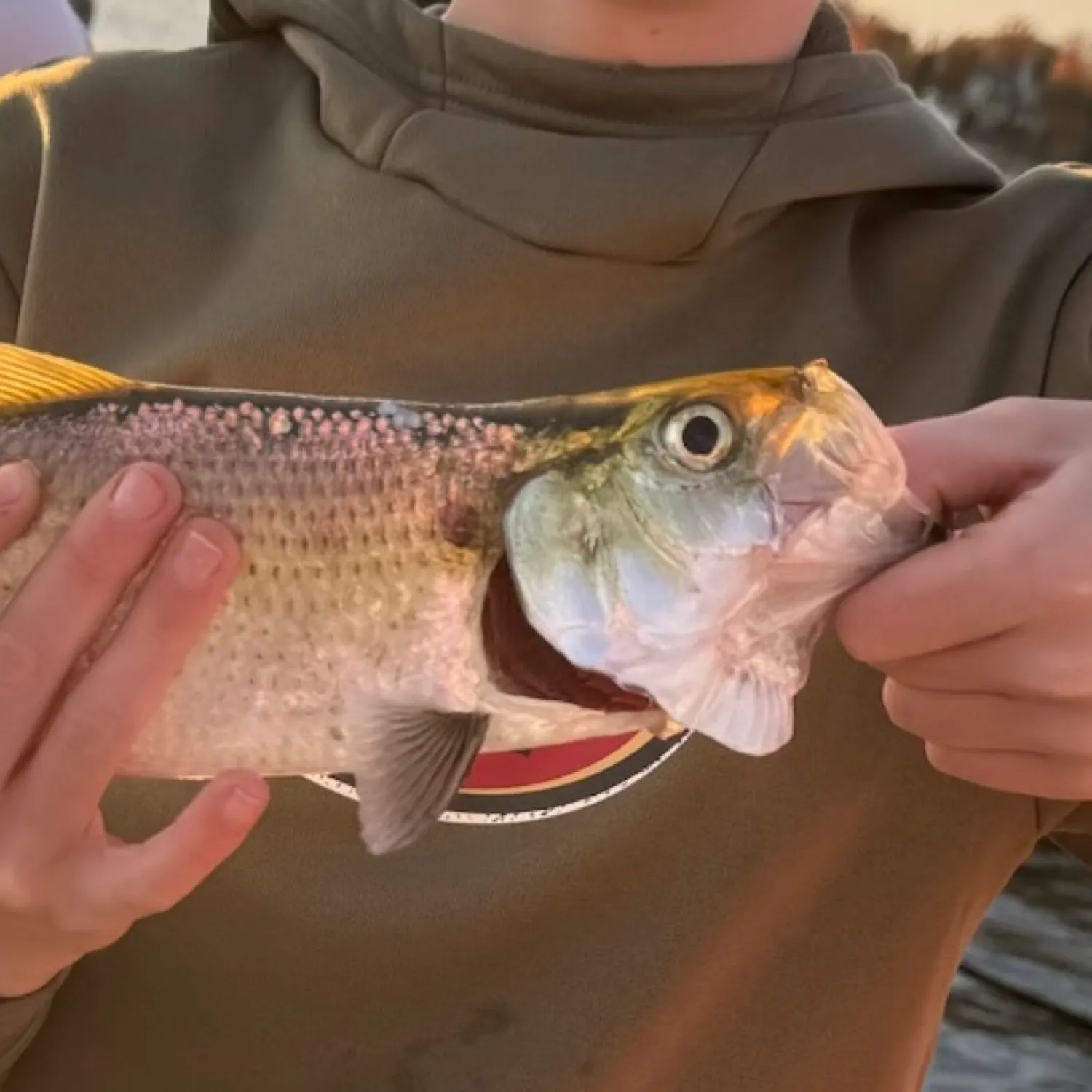 most liked catch image