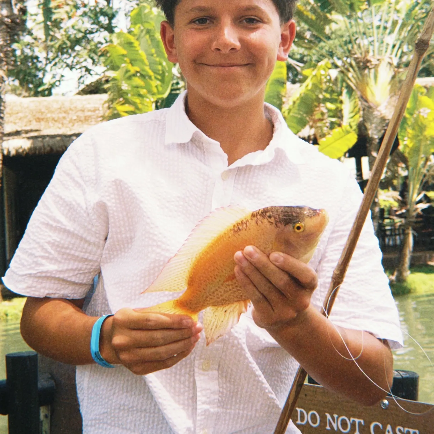 The most recent Red tilapia catches on Fishbrain