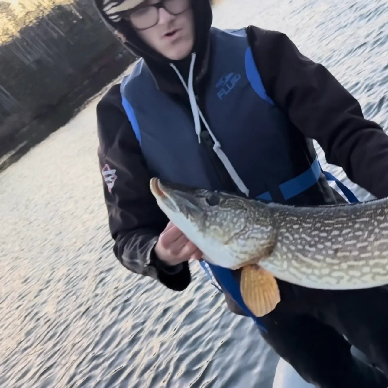 Northern pike caught on Fishbrain