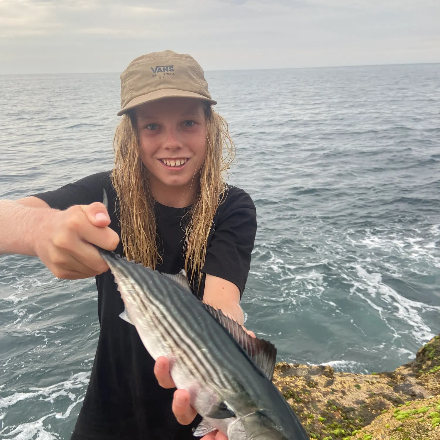 The most recent Striped bonito catches on Fishbrain