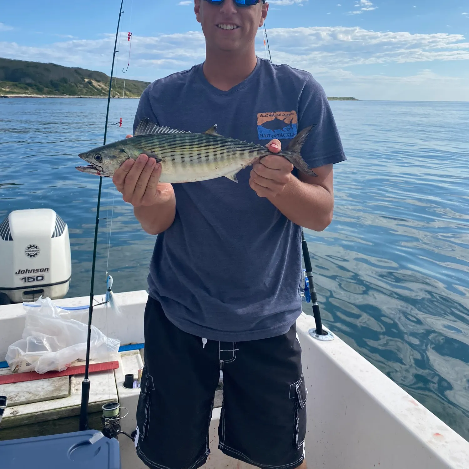 The most recent Atlantic bonito catches on Fishbrain