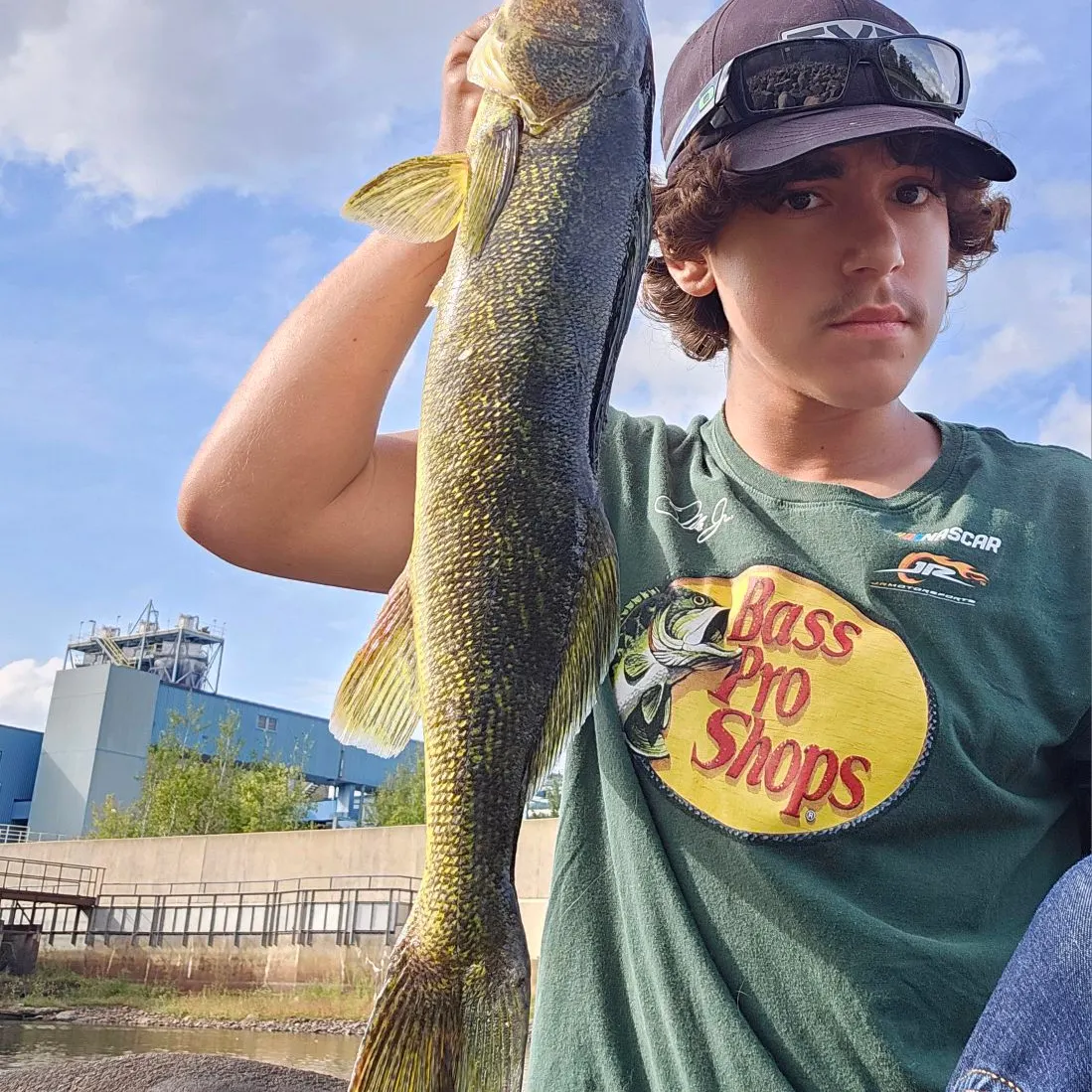 Walleye caught on Fishbrain