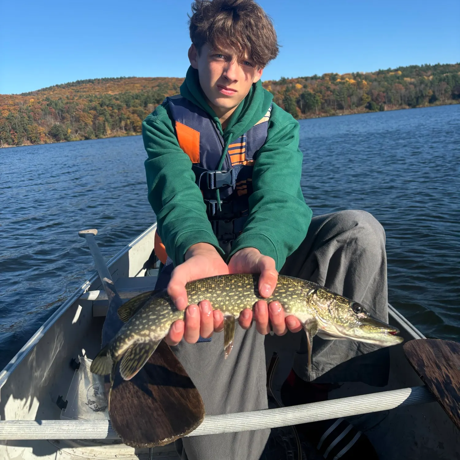 Northern pike caught on Fishbrain
