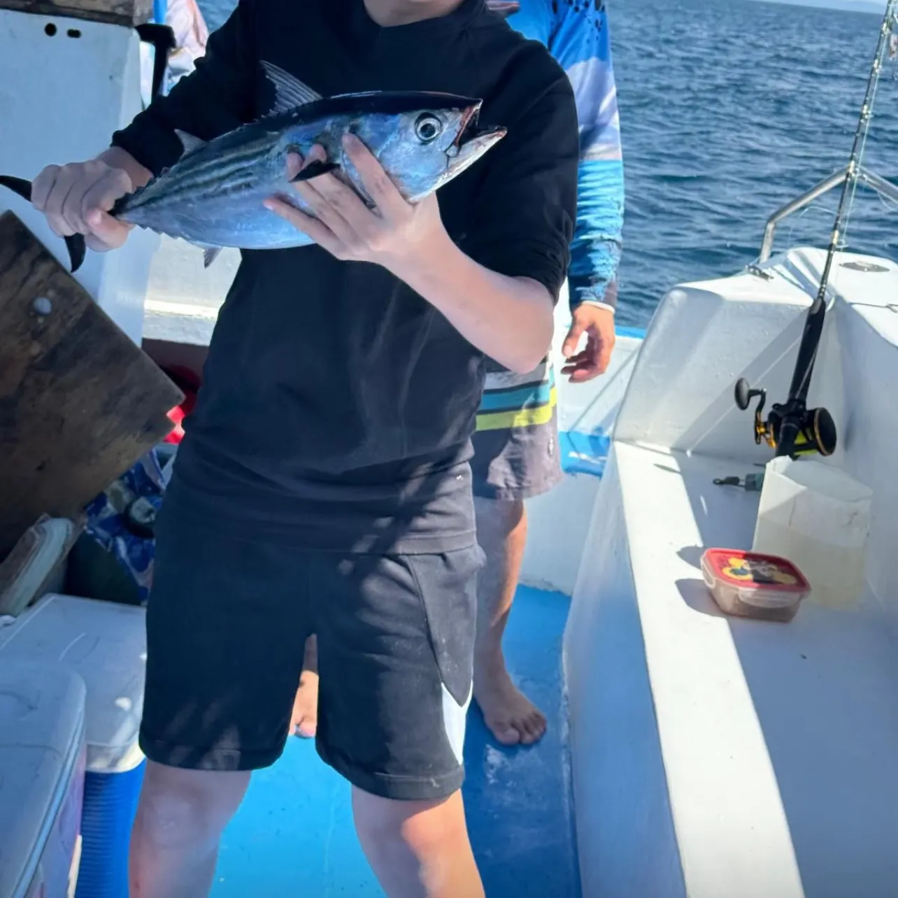 Little tunny caught on Fishbrain