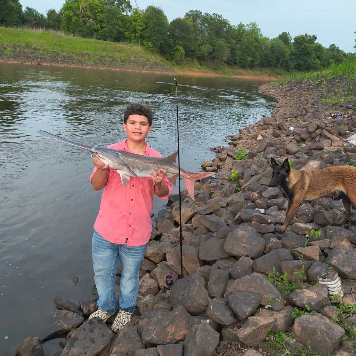 The most recent Paddlefish catches on Fishbrain