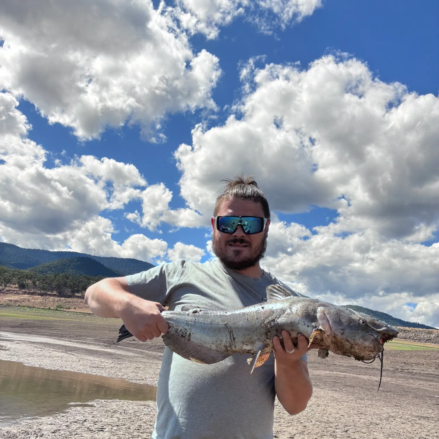 Channel catfish caught on Fishbrain