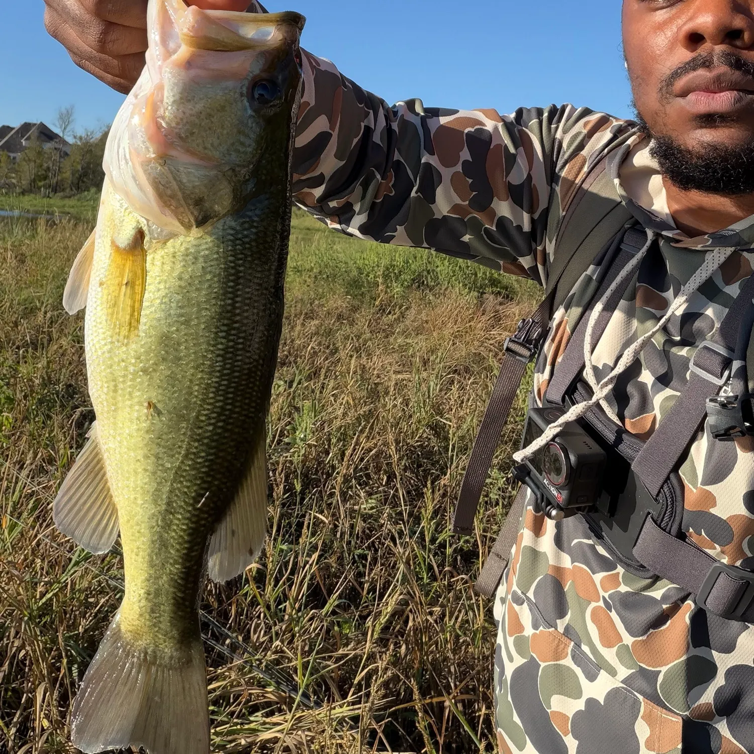 Largemouth bass caught on Fishbrain