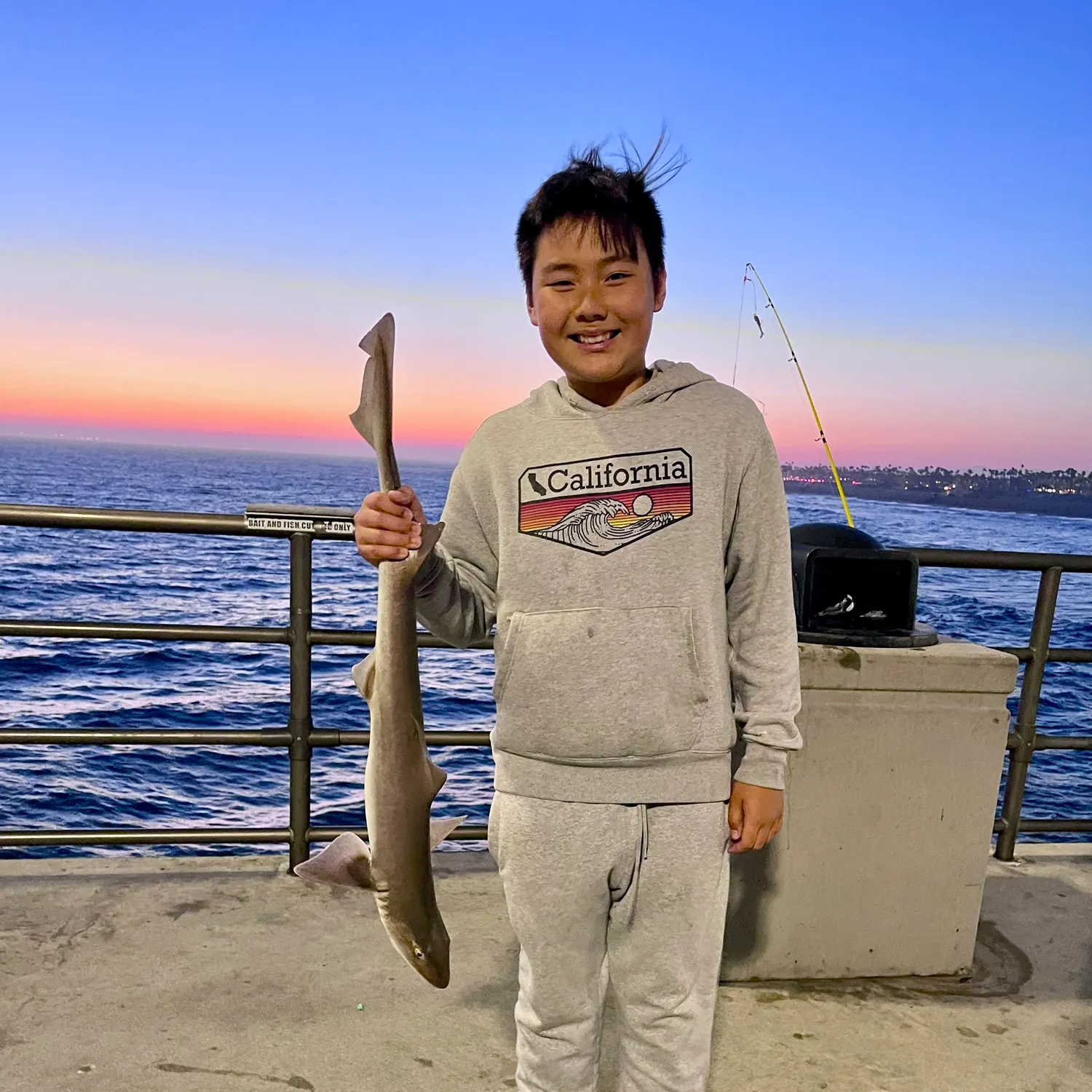 The most recent Piked dogfish catches on Fishbrain