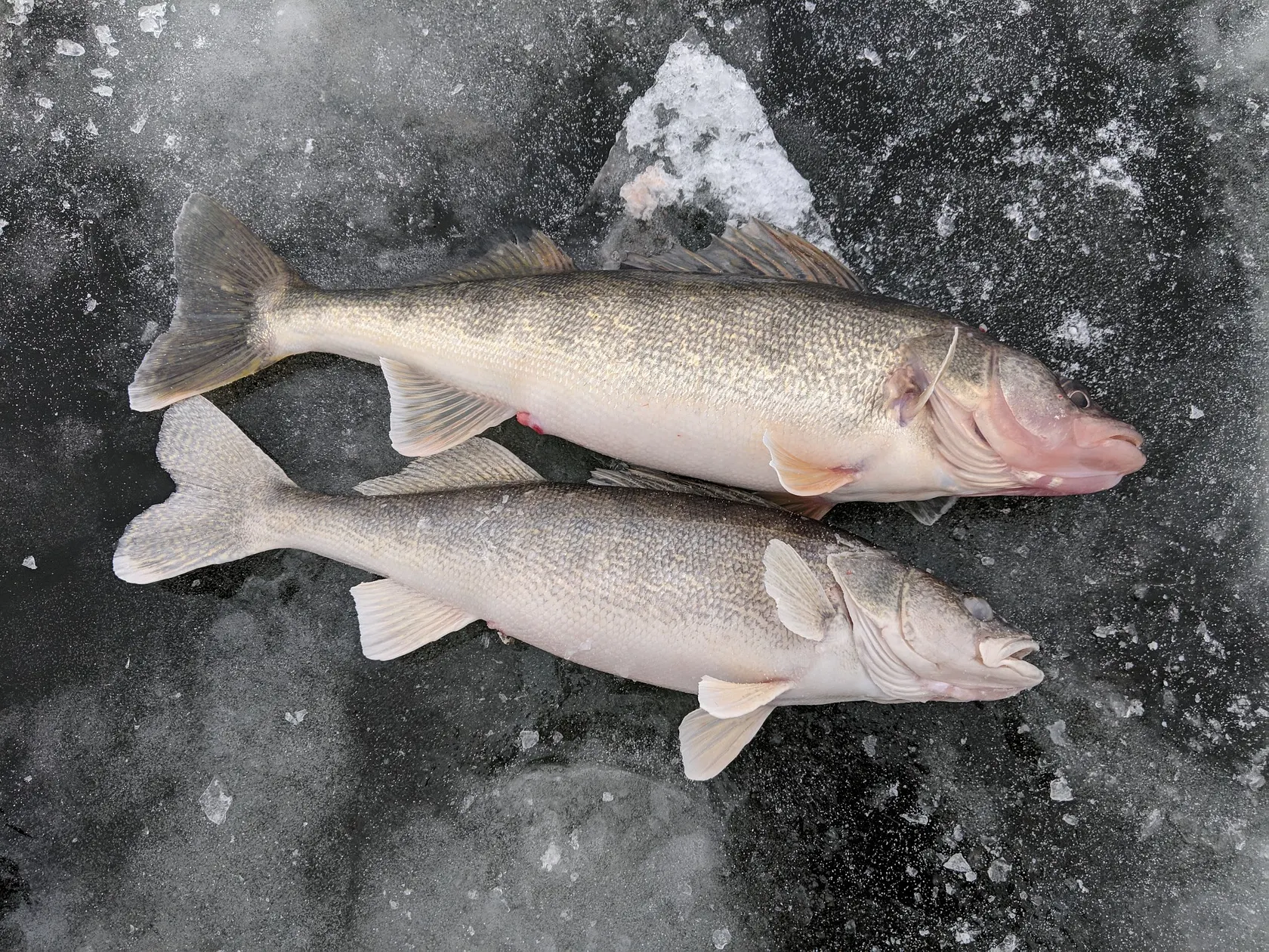 Post image from rg1993