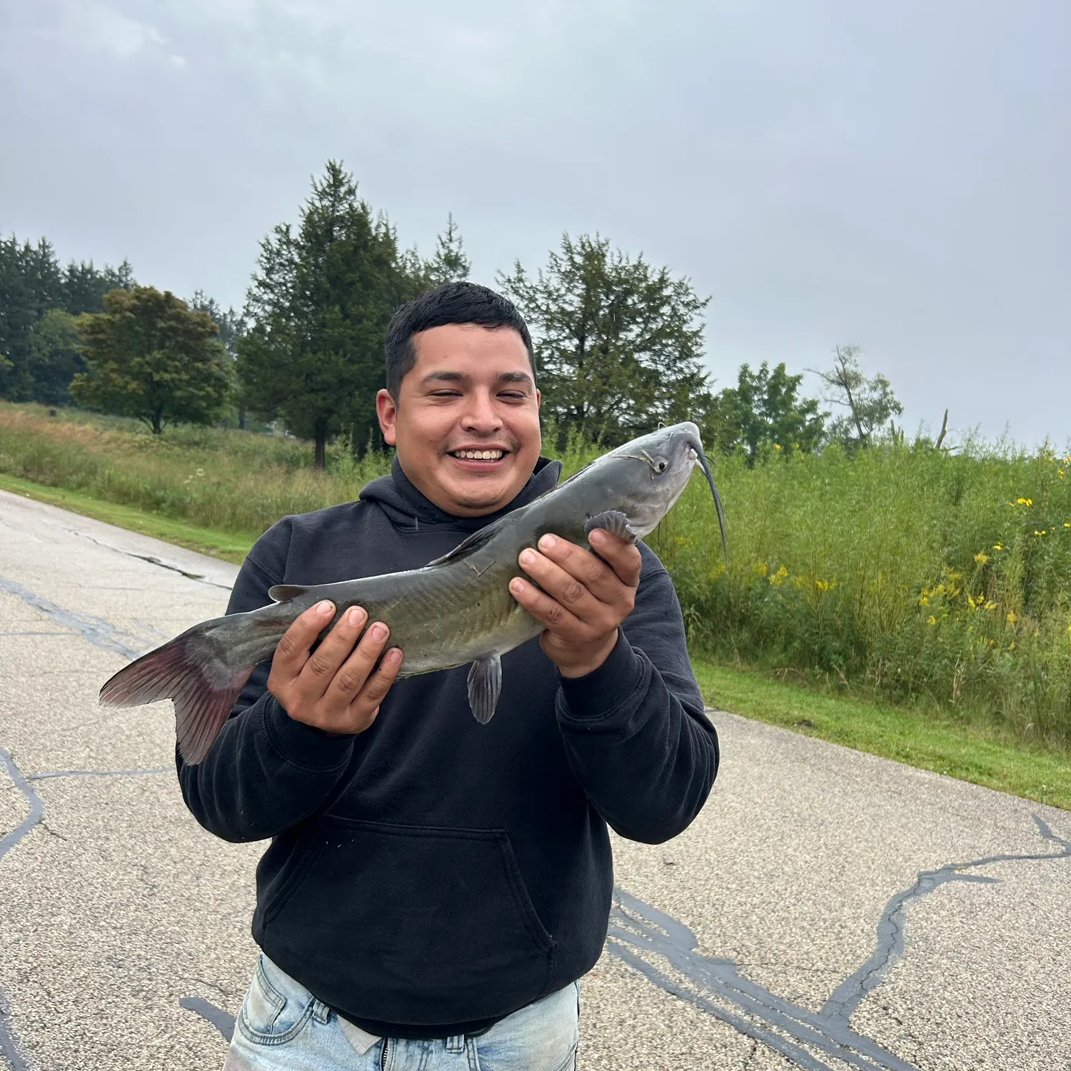 Channel catfish caught on Fishbrain