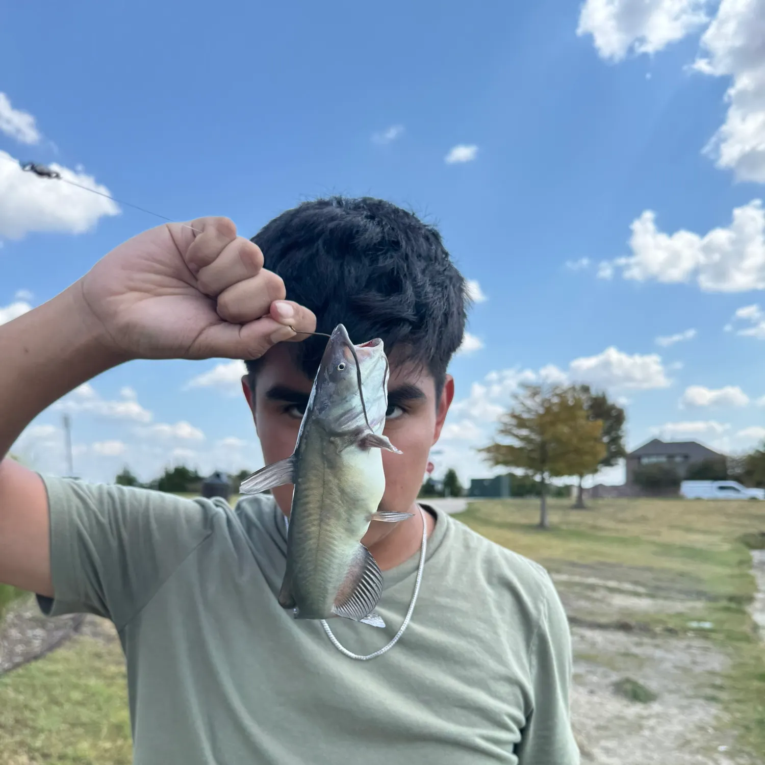 Channel catfish caught on Fishbrain