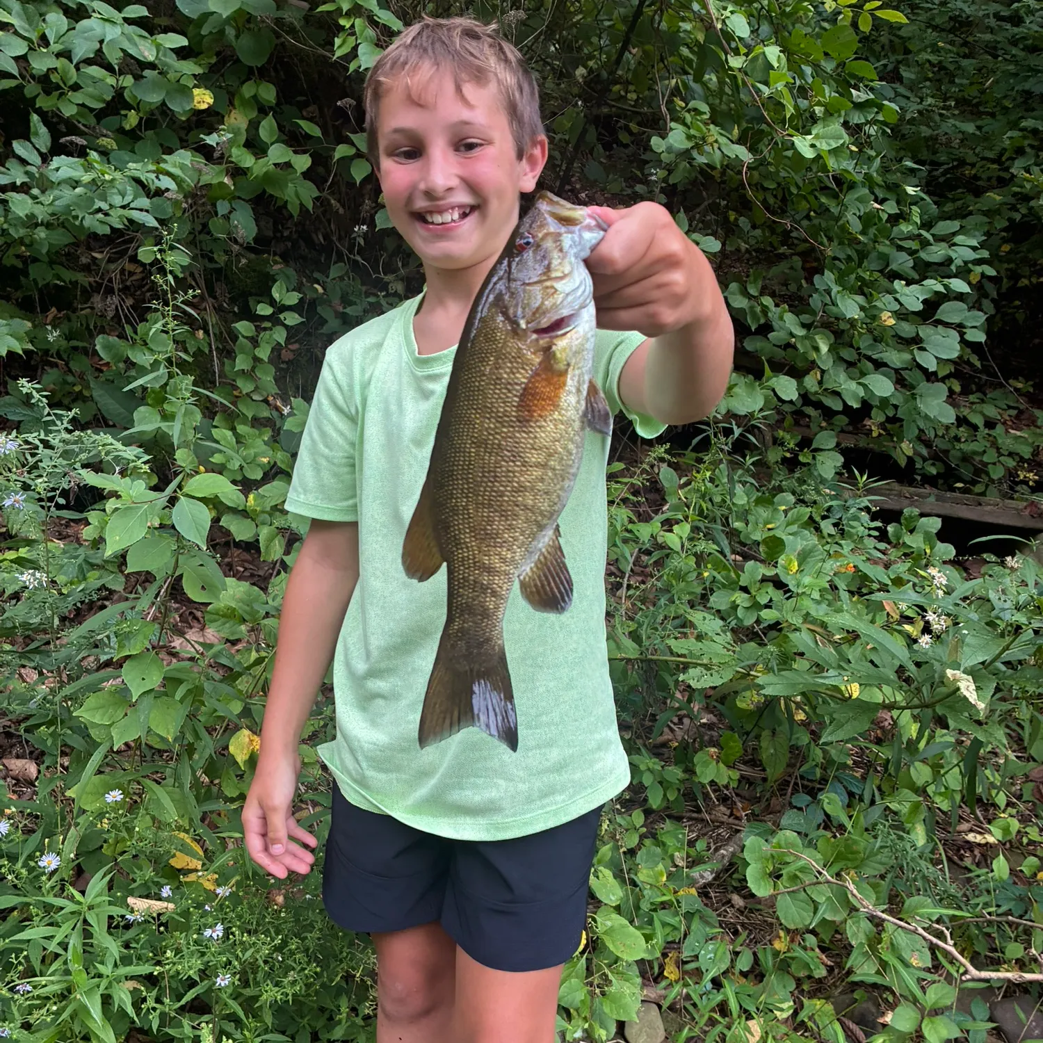 Smallmouth bass caught on Fishbrain