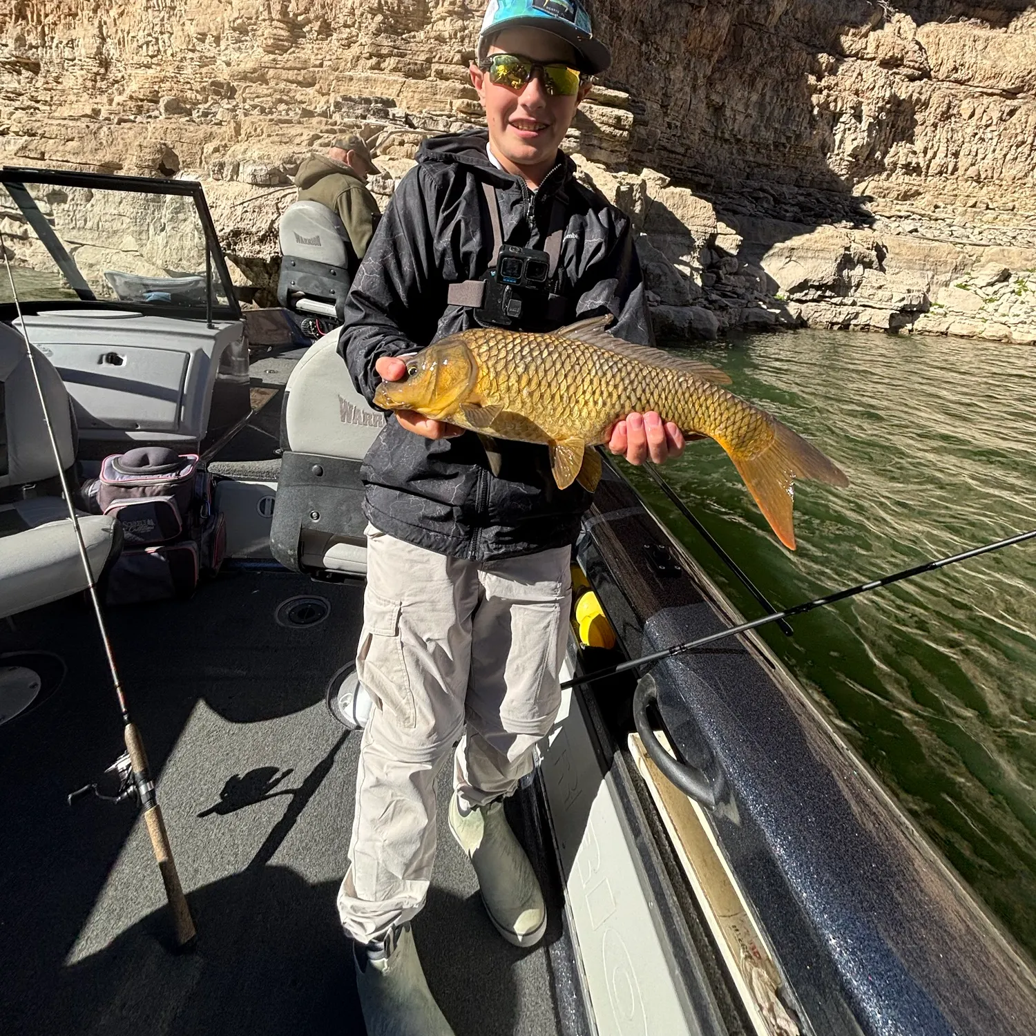 Common carp caught on Fishbrain