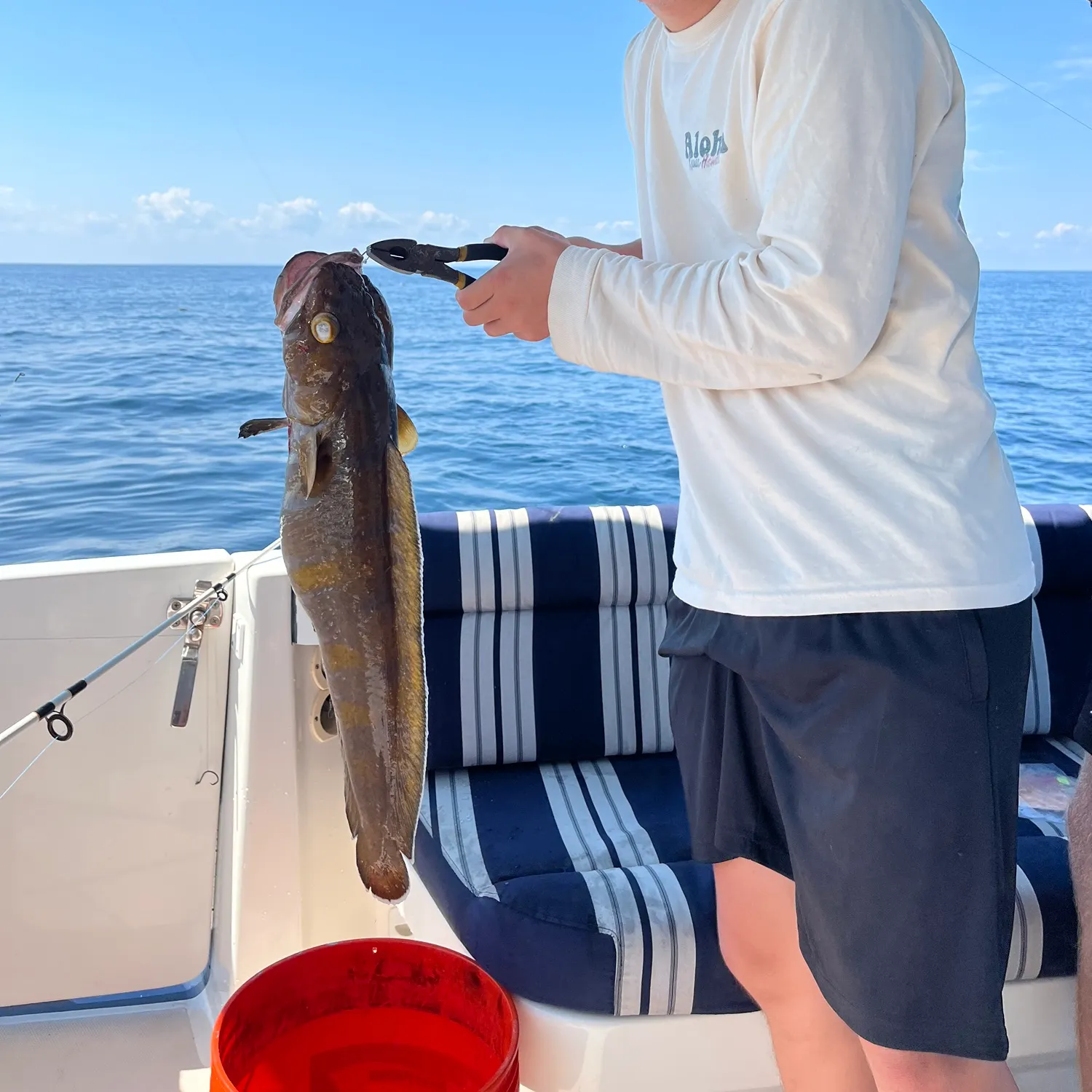 The most recent Cusk catches on Fishbrain
