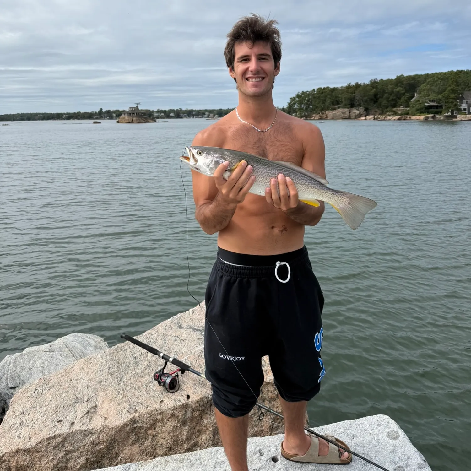 The most recent Gray weakfish catches on Fishbrain