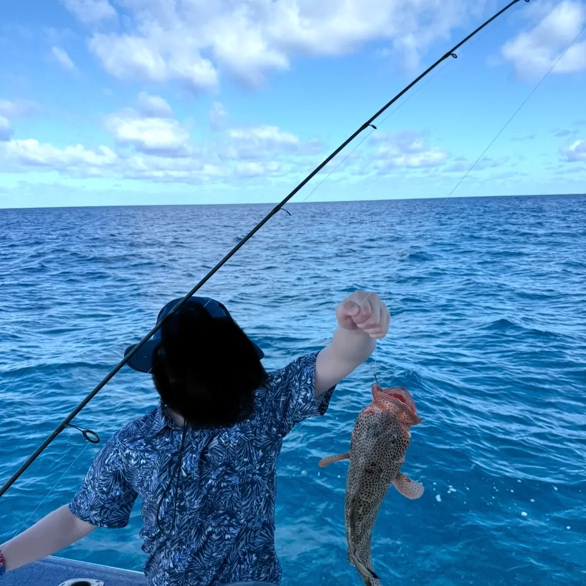 The most recent Comet grouper catches on Fishbrain