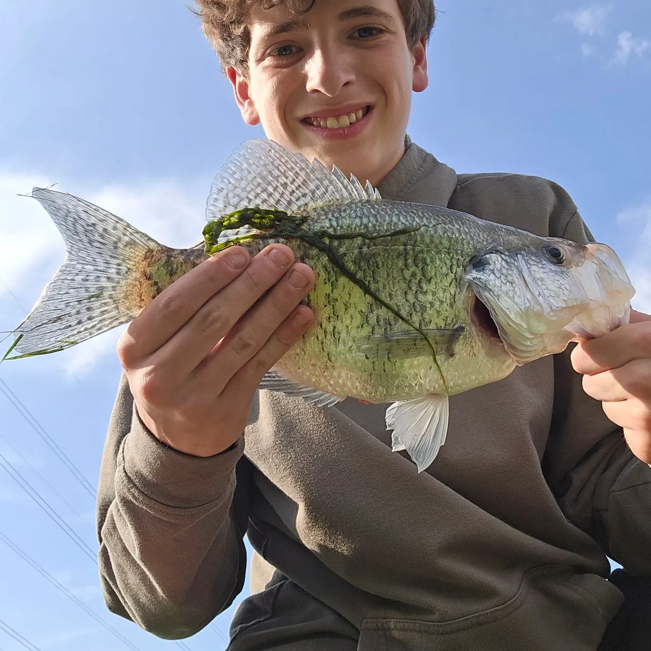 angler catch
