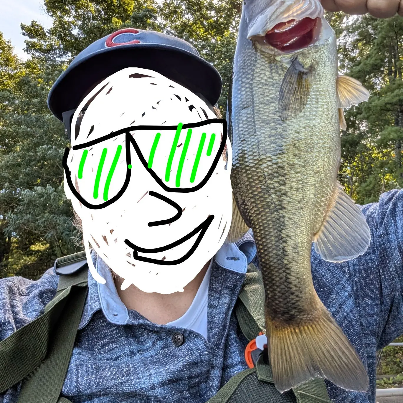 Largemouth bass caught on Fishbrain