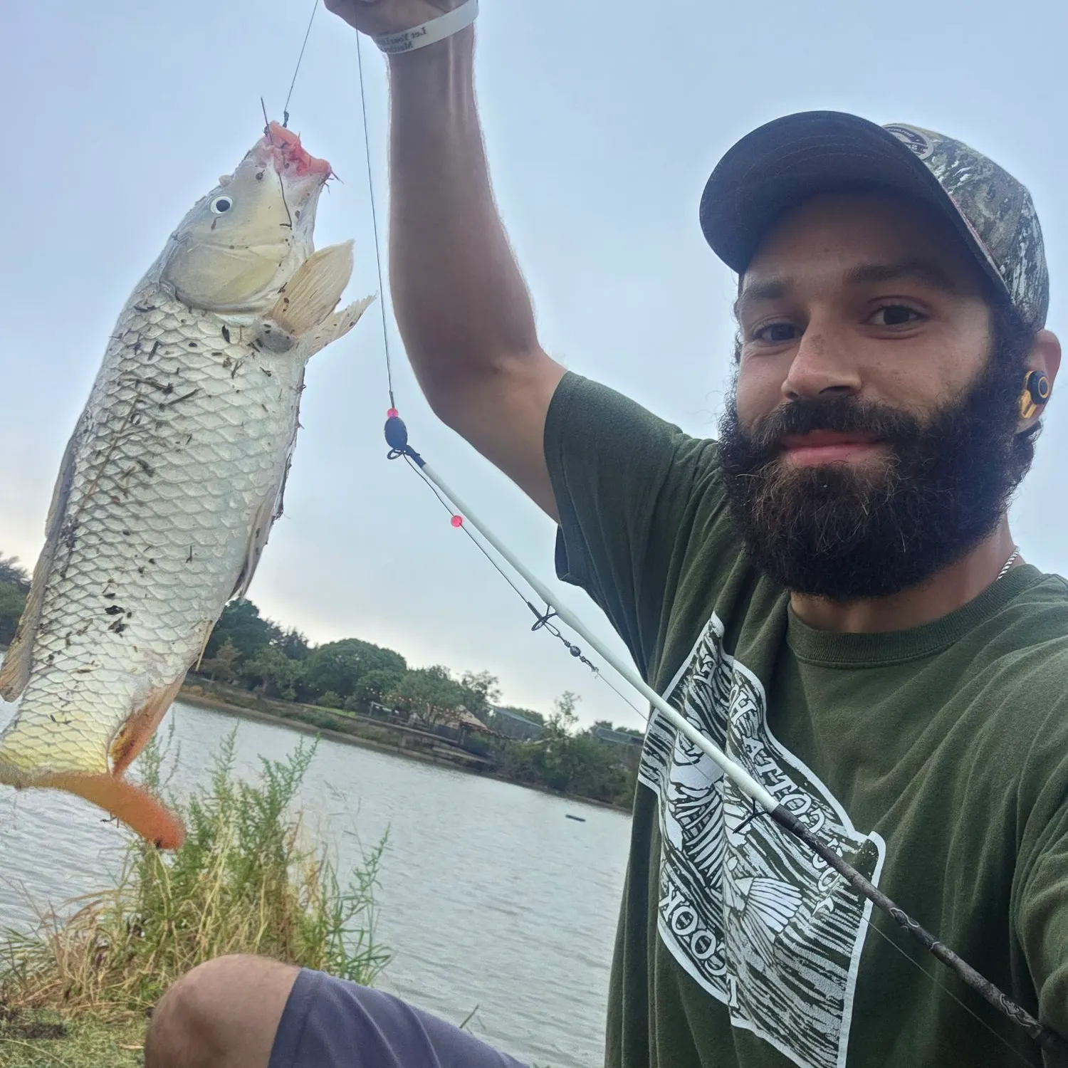 Common carp caught on Fishbrain