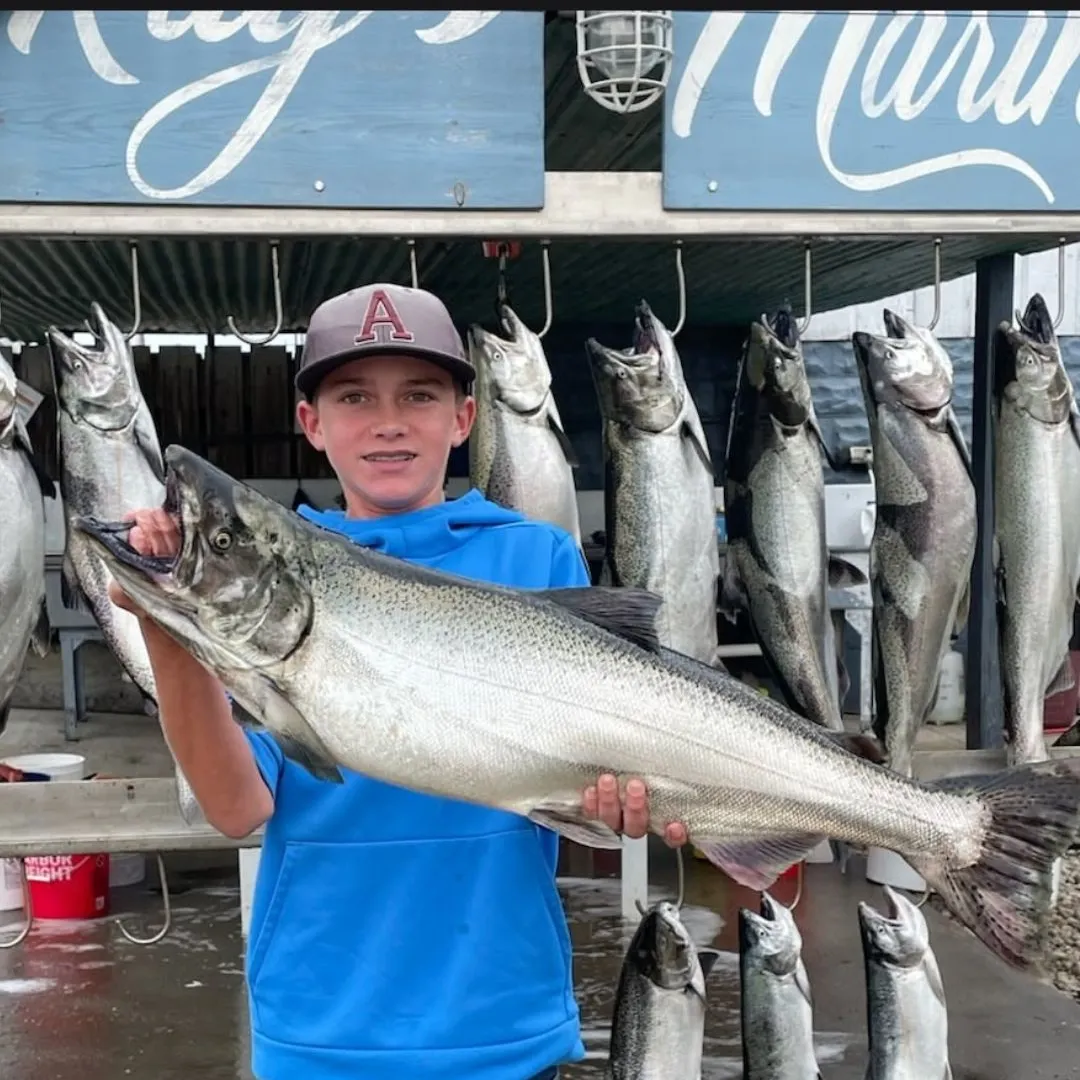 Chinook salmon caught on Fishbrain