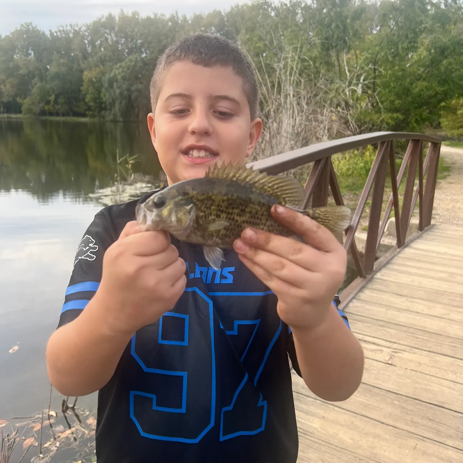 Rock bass caught on Fishbrain