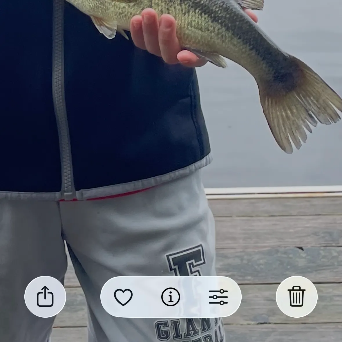 Largemouth bass caught on Fishbrain