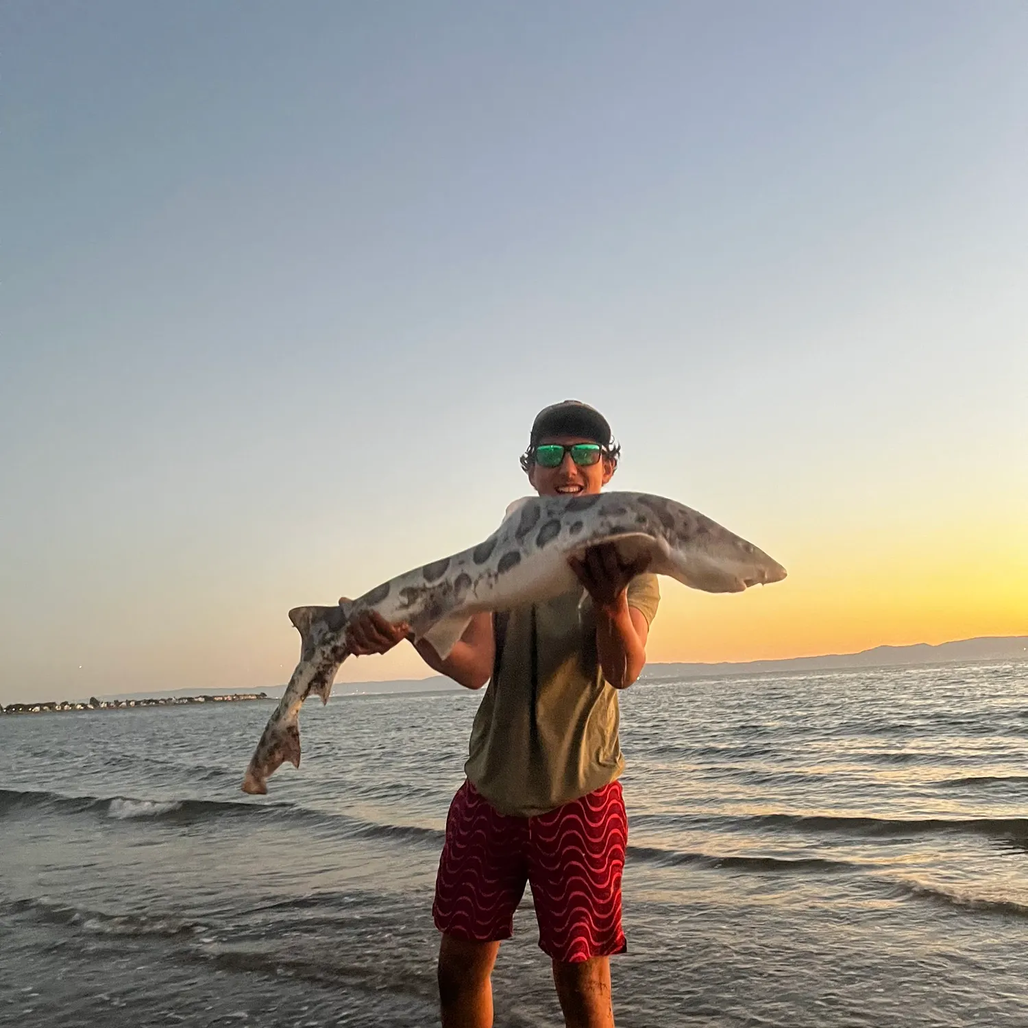 Leopard shark caught on Fishbrain