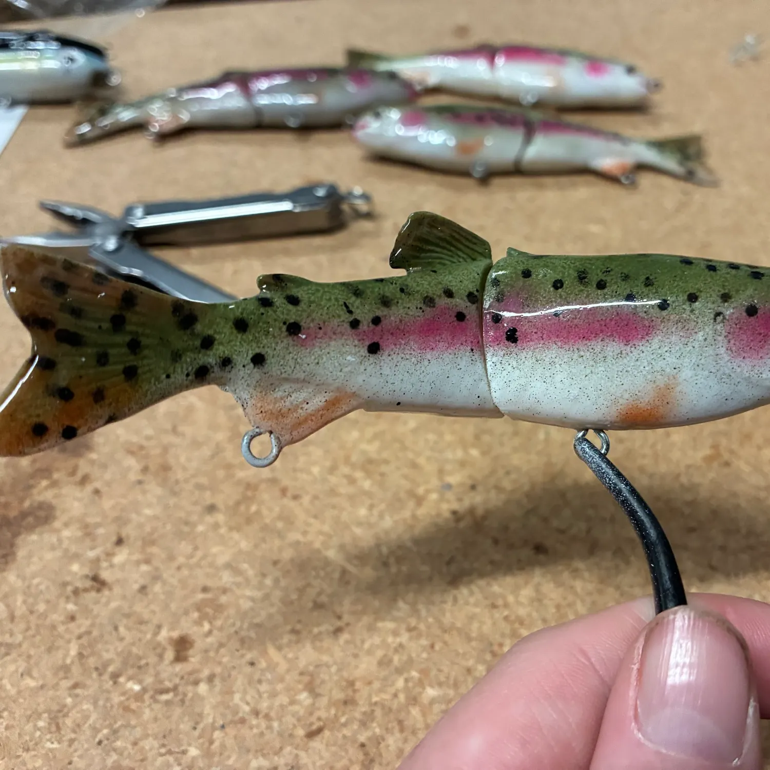 Rainbow trout caught on Fishbrain