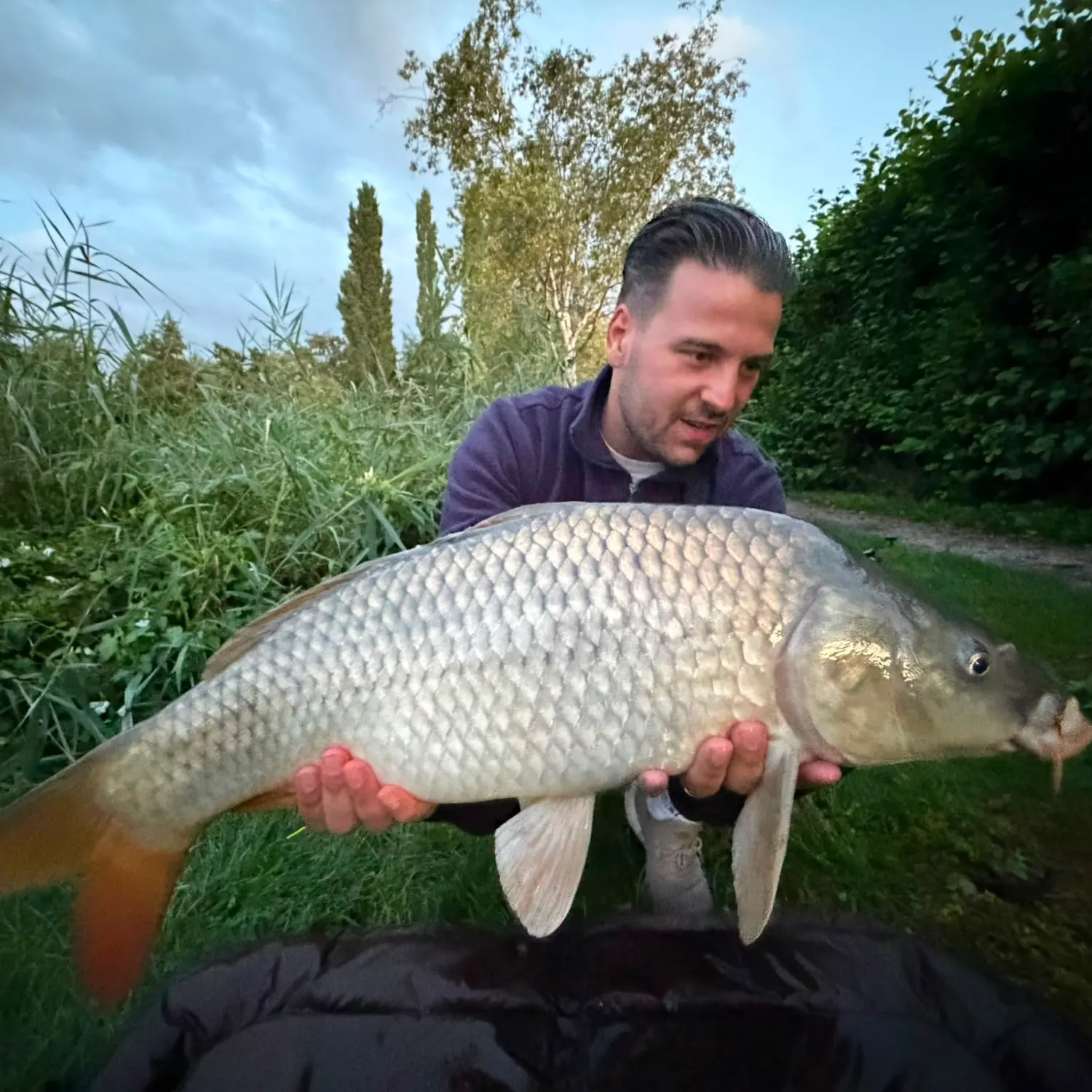 Common carp caught on Fishbrain