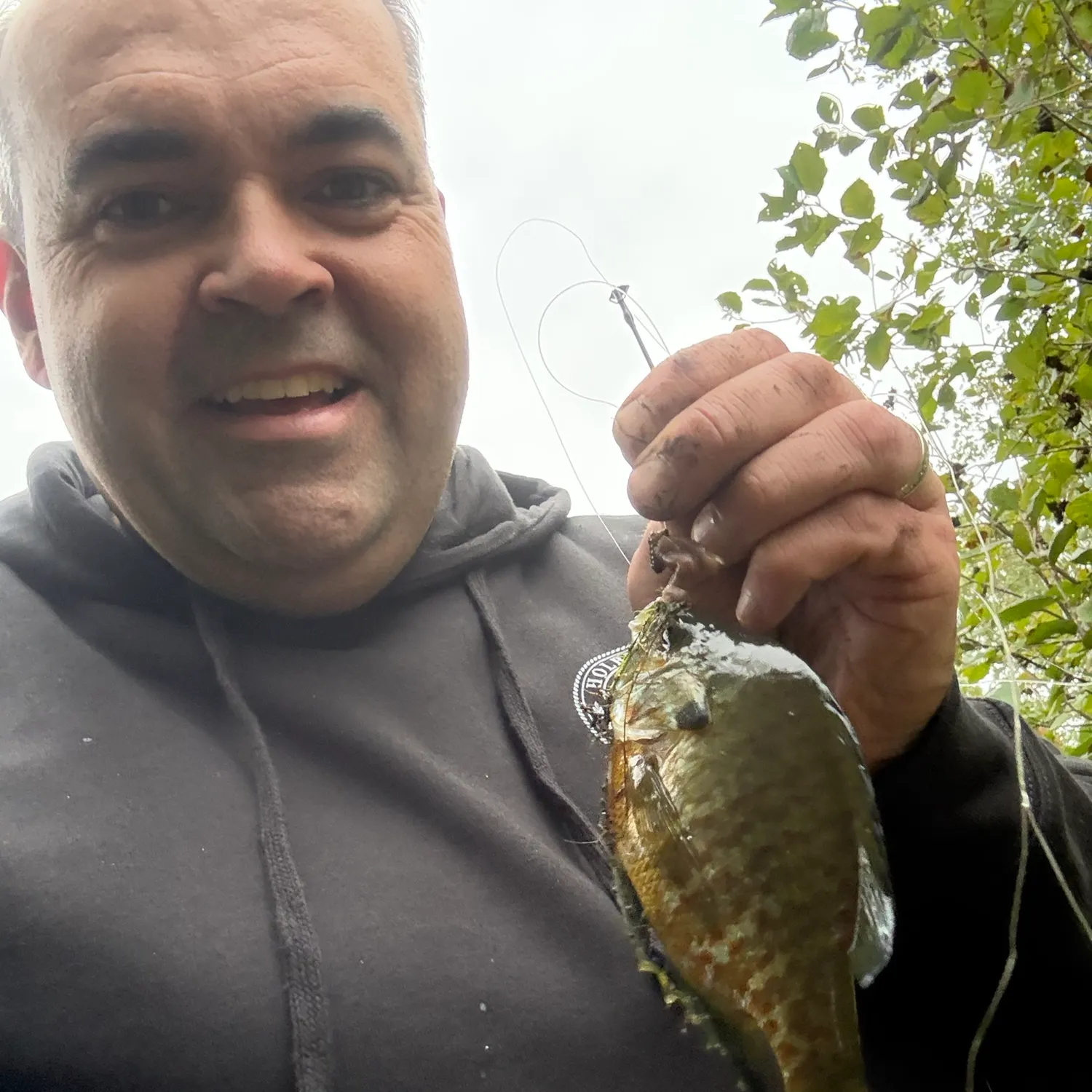 Bluegill caught on Fishbrain