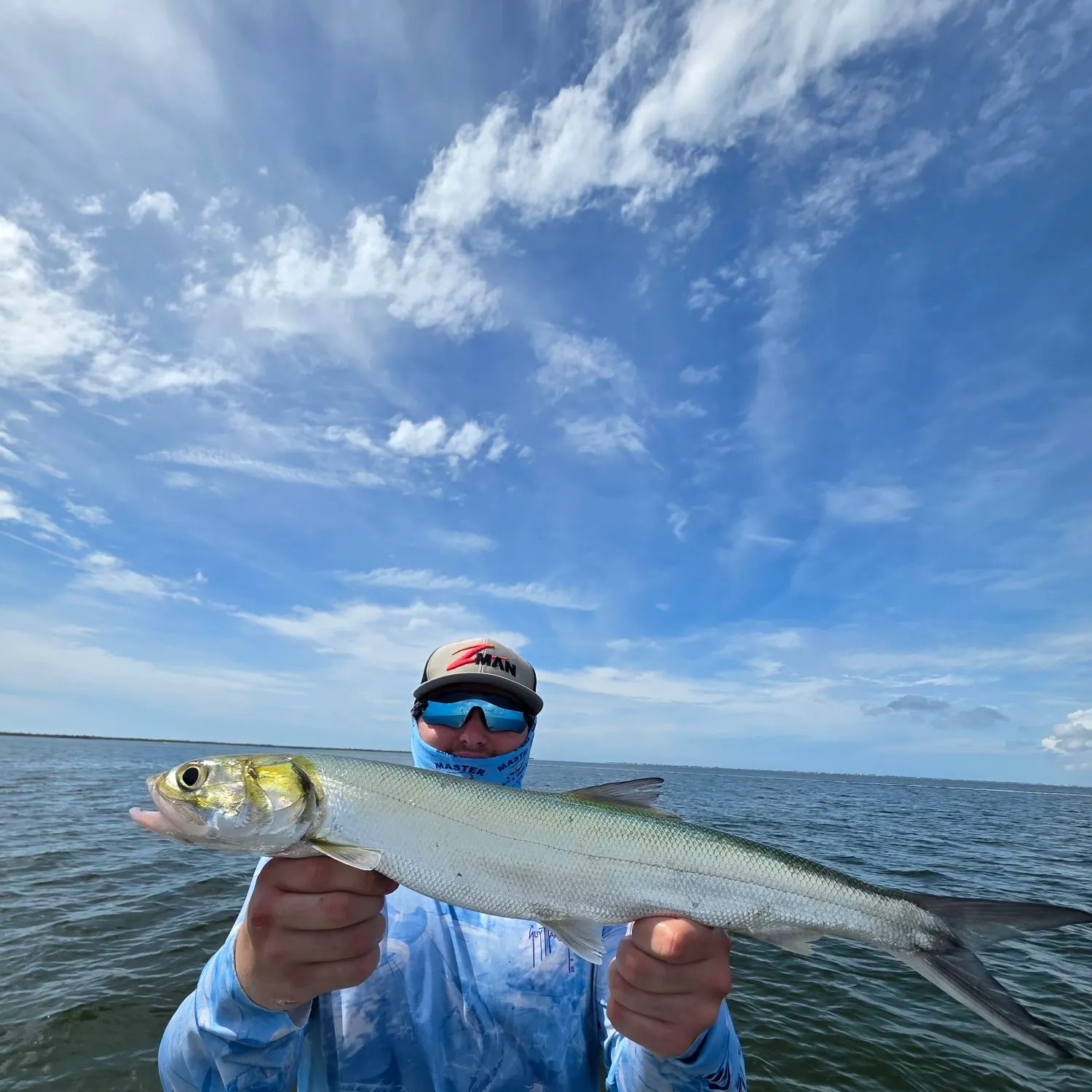 Ladyfish caught on Fishbrain