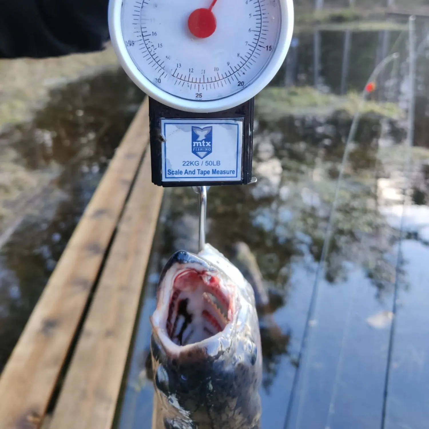 angler catch