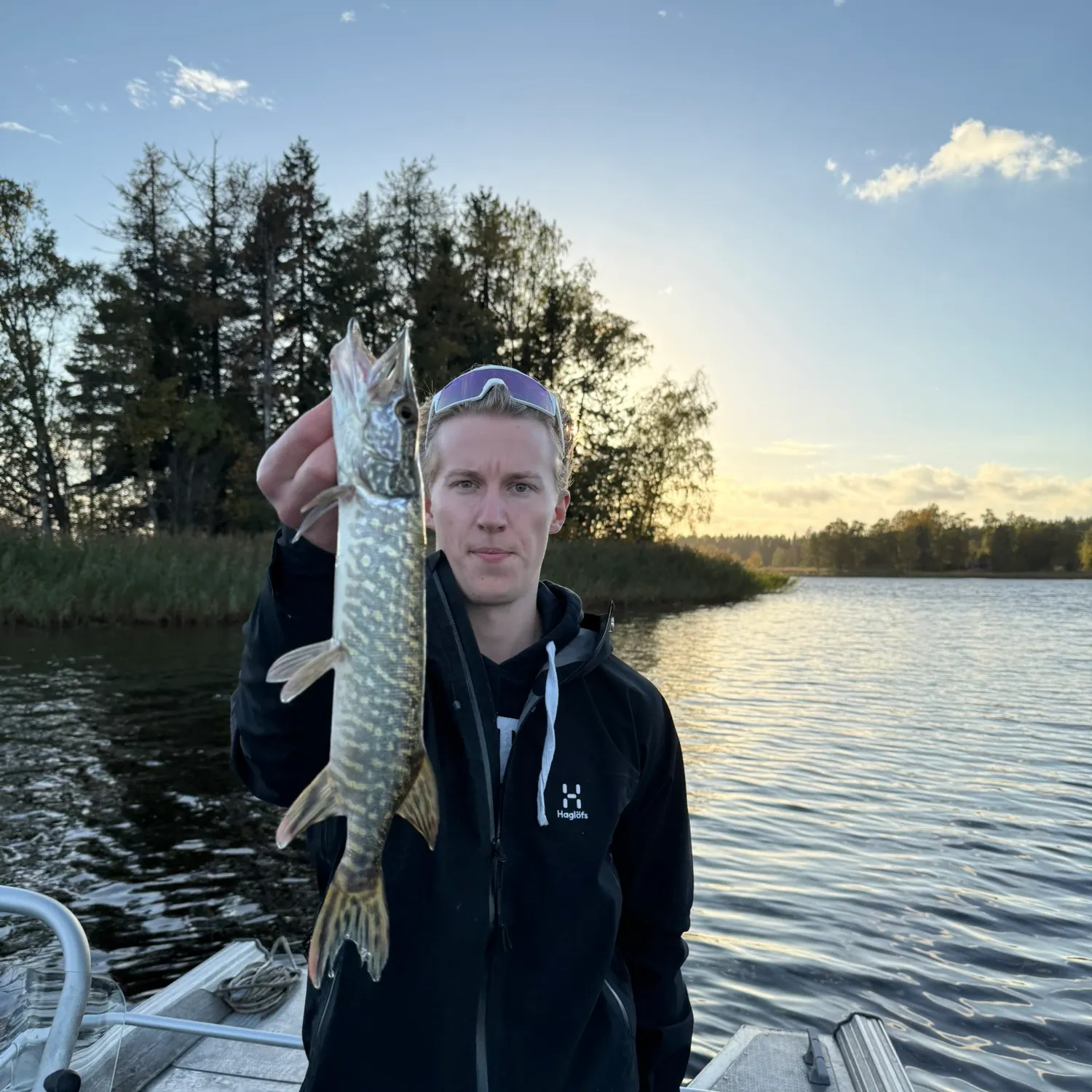 Northern pike caught on Fishbrain