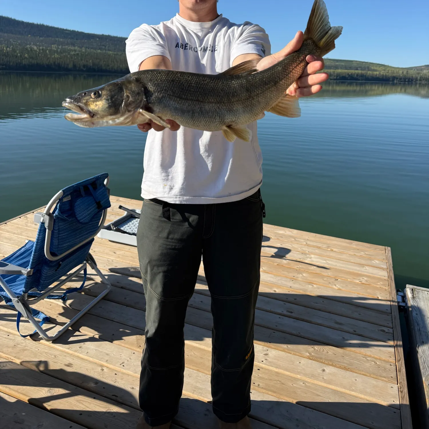 Northern pikeminnow caught on Fishbrain