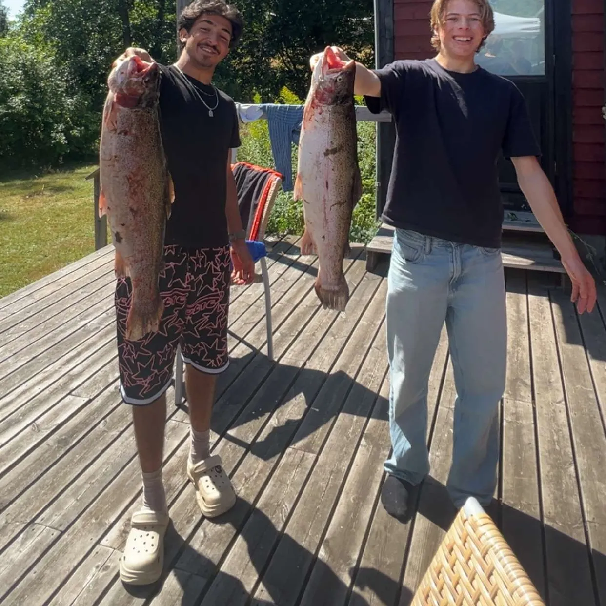 Rainbow trout caught on Fishbrain