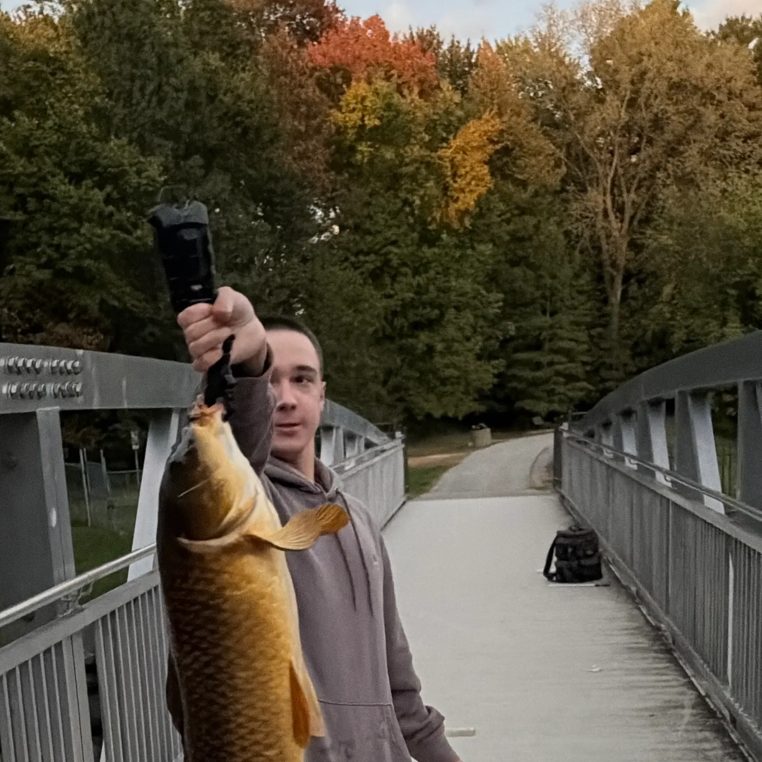 Common carp caught on Fishbrain