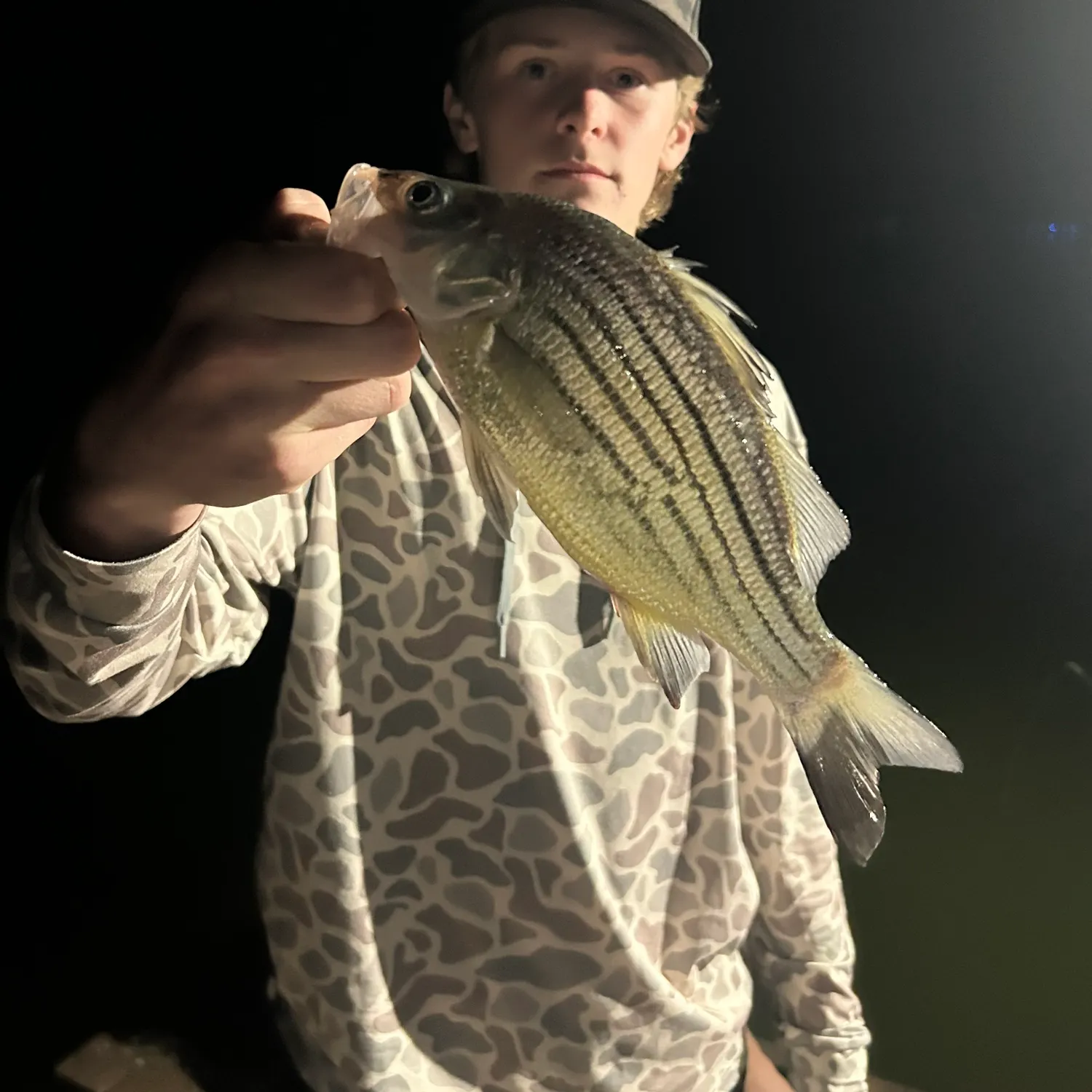 The most recent Yellow bass catches on Fishbrain