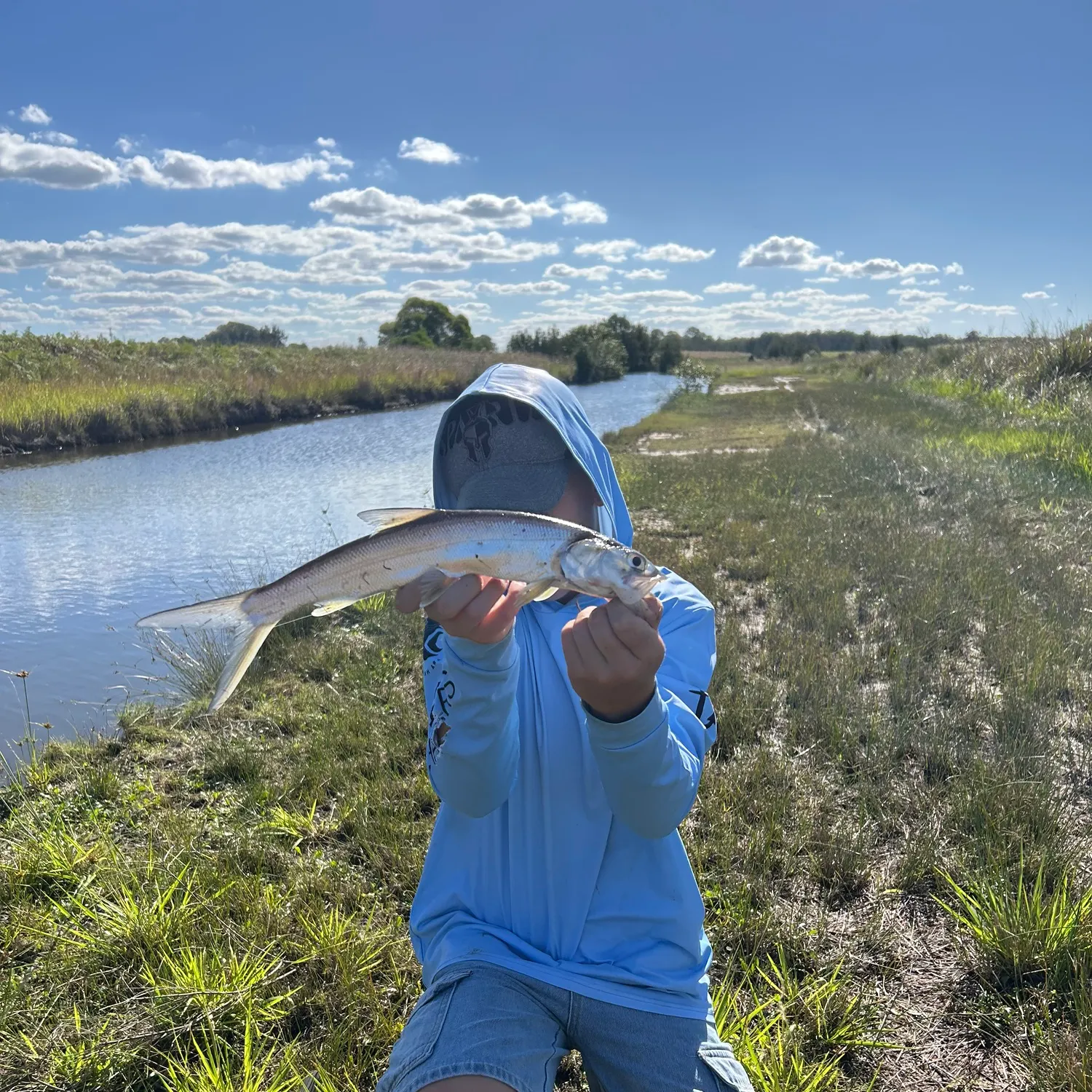 The most recent Hawaiian ladyfish catches on Fishbrain