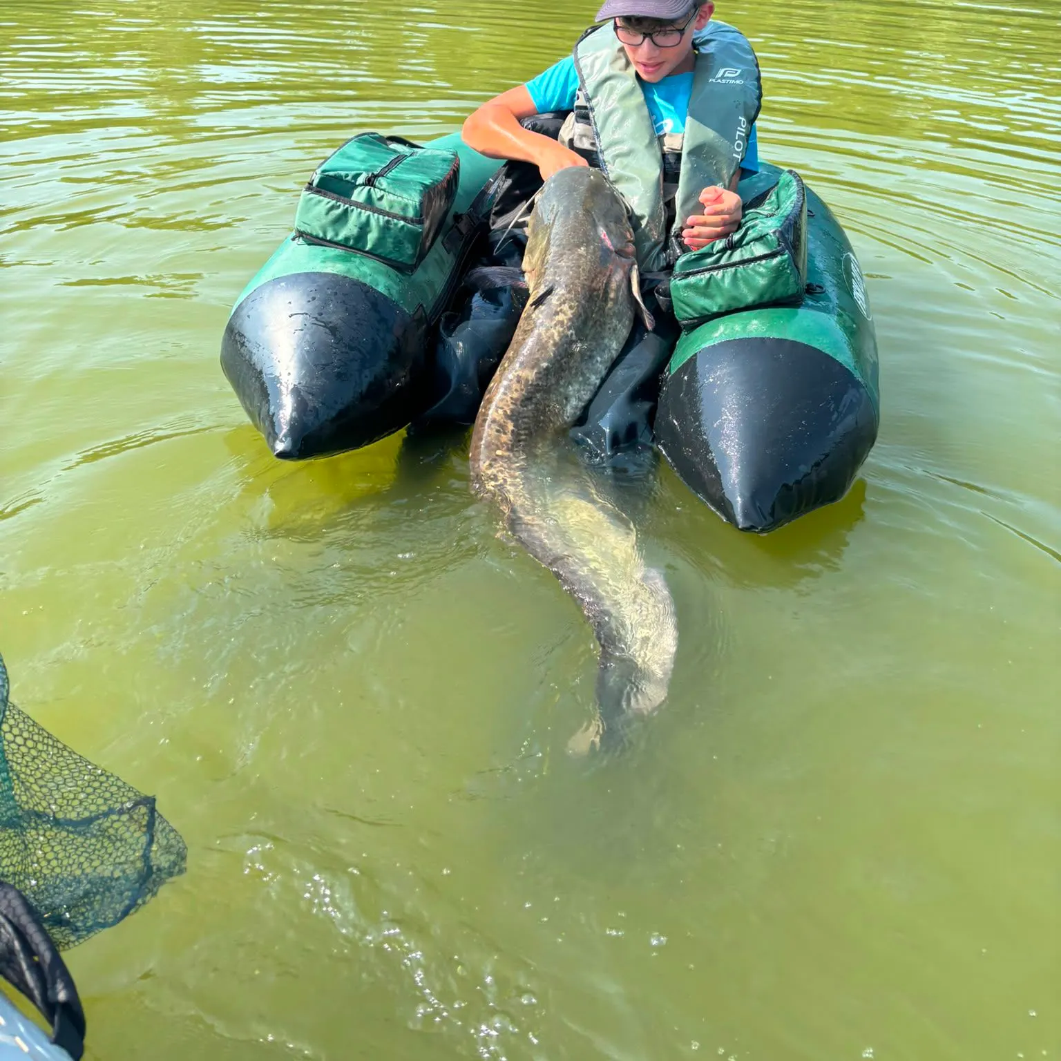 Wels catfish caught on Fishbrain